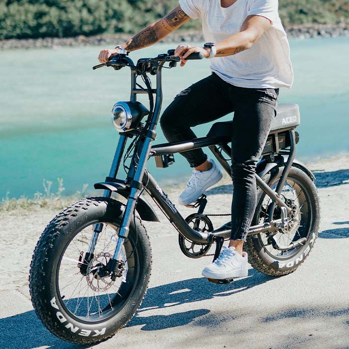 ampd brothers ace-x plus+ ebike lifestyle lake