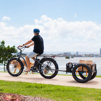 ampd brothers chubbie 2 electric beach cruiser bike lifestyle haul