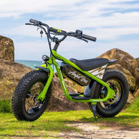 ampd brothers lil rippa 16 kids ebike lifestyle green static