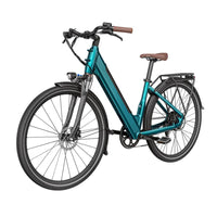 fiido c11 pro electric bike front side left