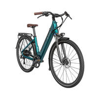 fiido c11 pro electric bike front side right