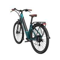 fiido c11 pro electric bike rear side left