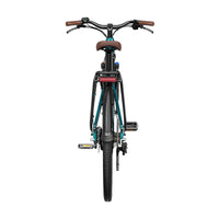 fiido c11 pro electric bike rear