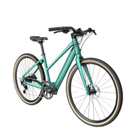 fiido c22 electric gravel bike green side front