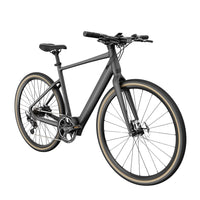 fiido e-gravel c21 side front