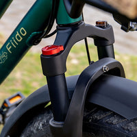 fiido t2 longtail cargo ebike feature shock