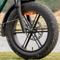 fiido t2 longtail cargo ebike feature tyre