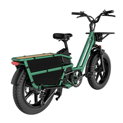 fiido t2 longtail cargo ebike green side back