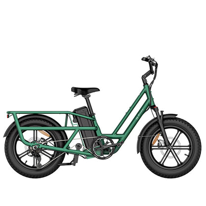 fiido t2 longtail cargo ebike green side