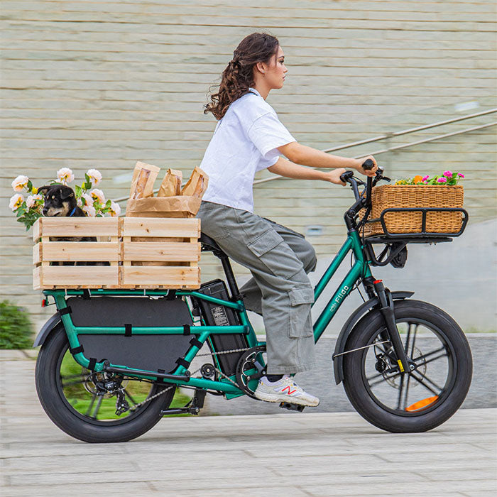 fiido t2 longtail cargo ebike lifestyle woman riding