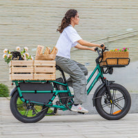 fiido t2 longtail cargo ebike lifestyle woman riding