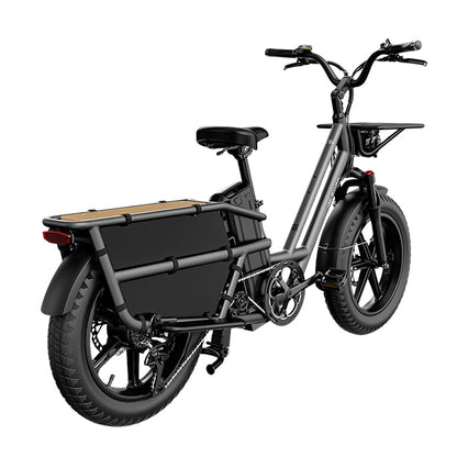 fiido t2 longtail cargo ebike side back