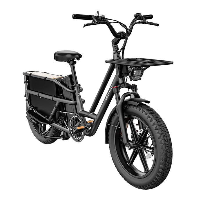 fiido t2 longtail cargo ebike side front