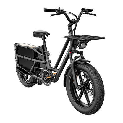 fiido t2 longtail cargo ebike side front