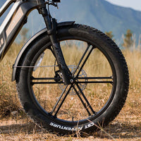 fiido titan electric cargo bike feature fat tyre