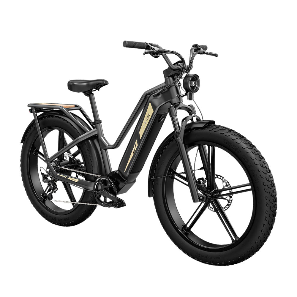 Electric cargo fat bike online